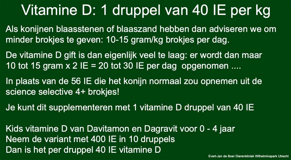 Vitamine D supplementeren bij het konijn